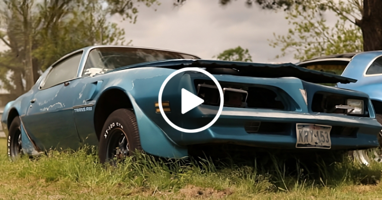 Abandoned 1978 Pontiac Trans Am Driven From Grave After 10 Years