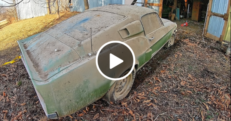 Watch Us Restore & Drive This 1967 Shelby GT-500 Mustang Barn Find – And Add Up Dollars Spent